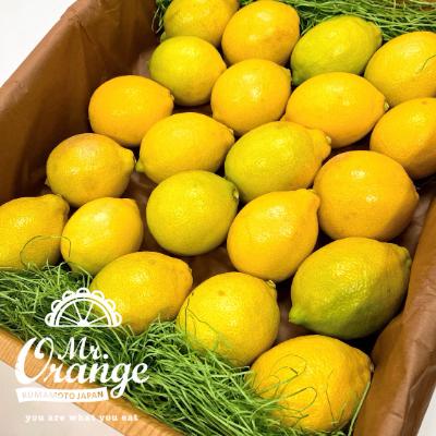 ふるさと納税 水俣市 環境マイスターと七面鳥が育てた「レモン」約3kg |  | 01