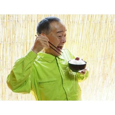ふるさと納税 野々市市 林さんちの普通じゃないコシヒカリ　白米5キロ |  | 01