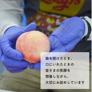 【きよとうファーム】旬採り桃 ご家庭用 6-10玉(岡山県産)【配送不可地域：離島】【1571591】