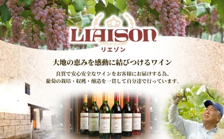 白ワイン Liaison リエゾン 甲州 720ml×6本 フルボトル やや辛口 日川中央葡萄酒 山梨県 笛吹市 177-7-24