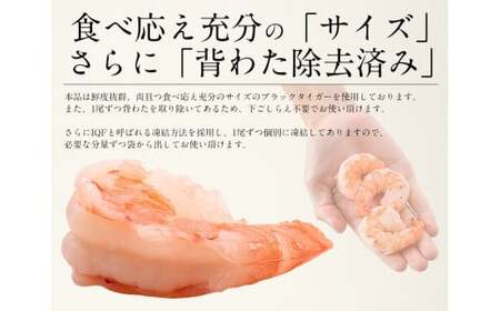 えび 高級ブラックタイガー 1kg [053-a007_fn]  エビ 海老