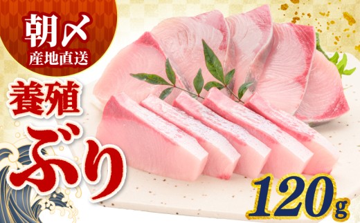 ぶり 120g 冷蔵 サンライズファーム
