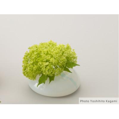 ふるさと納税 群馬県 北欧デザイナーと群馬県のものづくりのコラボレーション花瓶「ソフトベース」スモールサイズ:スノー