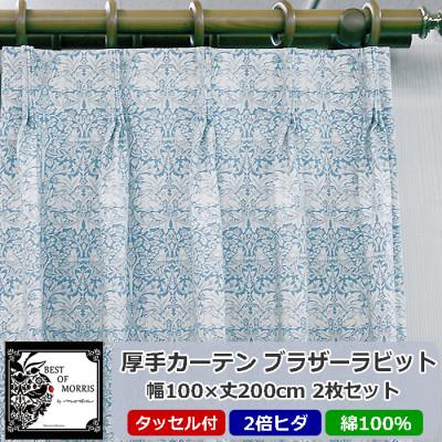 ふるさと納税 茅野市 厚地カーテン ブラザーラビット 幅100×丈200cm×2枚　Fabric by ベストオブモリス