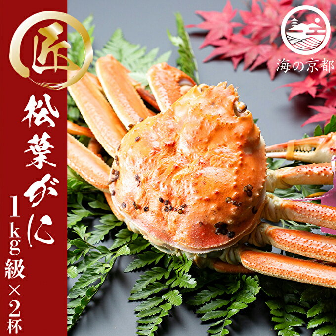 【ふるさと納税】茹で松葉蟹 特大2杯（1,000g級）〈11月中旬～2026年3月末頃発送〉 蟹 カニ かに 松葉蟹 松葉ガニ ズワイガニ ボイル　 かに湯がき 見極め 上質 匠の技 自慢 逸品 美味しい 塩加減 キャリア 新鮮 　お届け：2025年11月中旬～2026年3月末頃