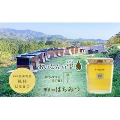 ふるさと納税 愛南町 里山のはちみつ　〜あいなんの雫〜　450g