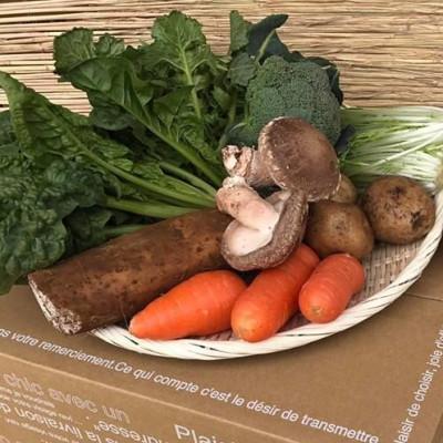 ふるさと納税 潮来市 【ハーフサイズ】『身体が喜ぶ野菜』詰め合わせ(おまかせ)潮来はぐくみのもり |  | 01