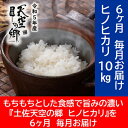 【ふるさと納税】★令和5年産★農林水産省の「つなぐ棚田遺産」に選ばれた棚田で育てられた 土佐天空の郷 ヒノヒカリ 10kg 定期便 毎月お届け　全6回　【定期便・お米 ヒノヒカリ】