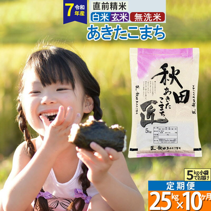 【ふるさと納税】【白米／玄米／無洗米】※R7※《定期便10ヶ月》秋田県産 あきたこまち 25kg (5kg×5袋)×10回 令和7年産 お米 匠