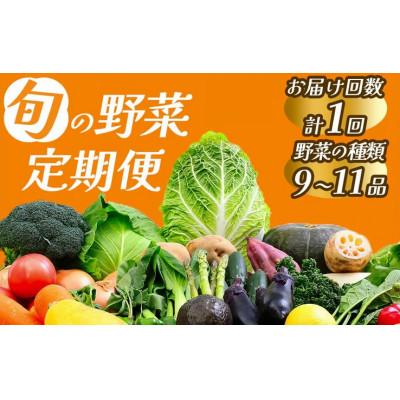 ふるさと納税 南伊豆町 湯の花 旬の野菜セット 9〜11品