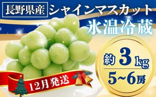 【2025年先行予約】氷温貯蔵シャインマスカット 約3kg(5~6房)｜果物 フルーツ 白ぶどう 葡萄 ブドウ 種無し 種なし 皮ごと 千曲市 長野県 信州