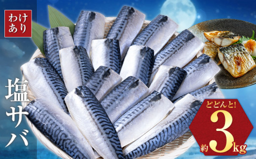 訳あり 塩サバ 3kg 海鮮 無添加《30日以内に出荷予定(土日祝除く)》切り身 千葉県 勝浦市  株式会社西川 塩 さば サバ 魚 無添加 鯖 冷凍 塩さば 規格外 大容量【配送不可地域：離島】 st-p