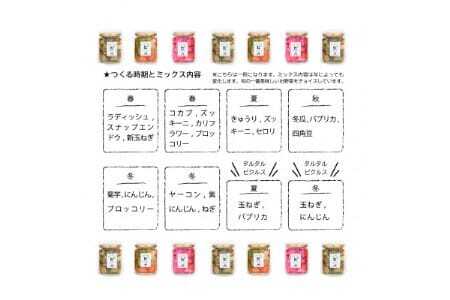 【大阪能勢特産】 旬野菜のミックスピクルス おまかせ 4本セット