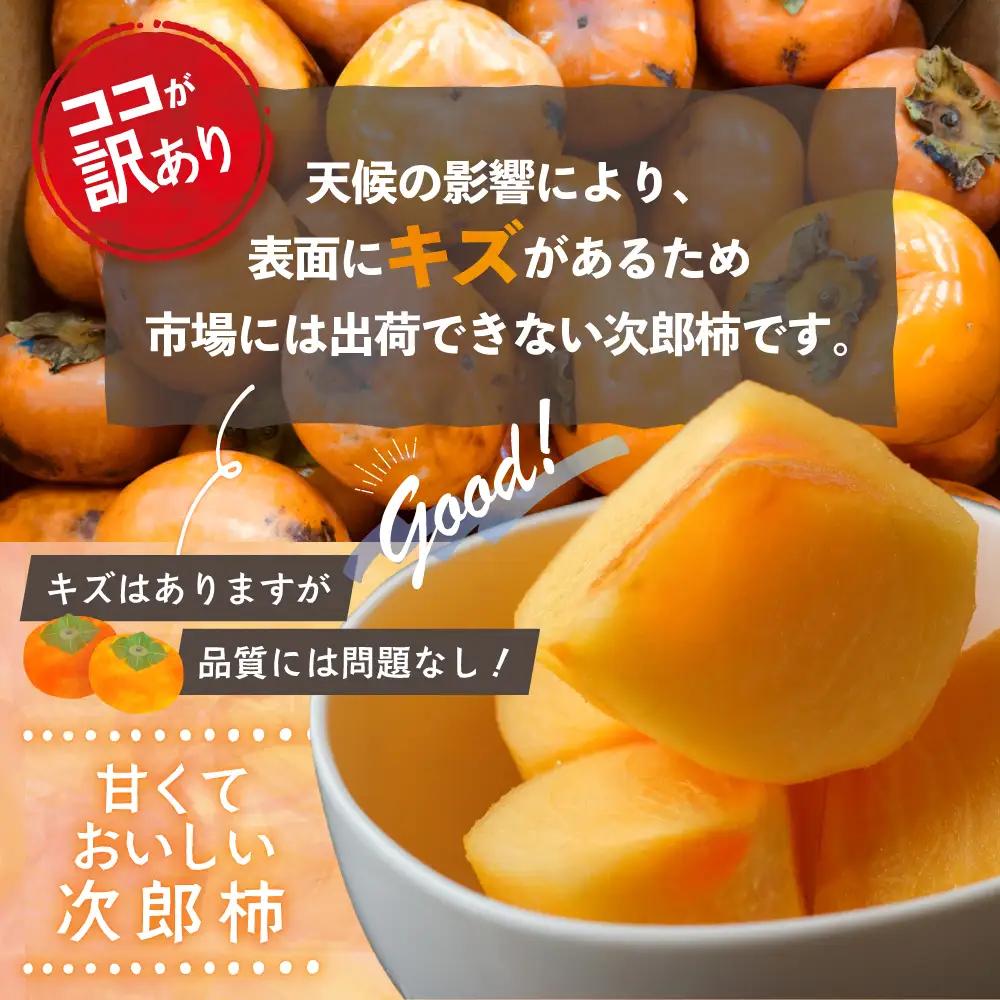 【令和8年産柿/先行予約】訳あり 10kg 多気町発祥 前川次郎 柿