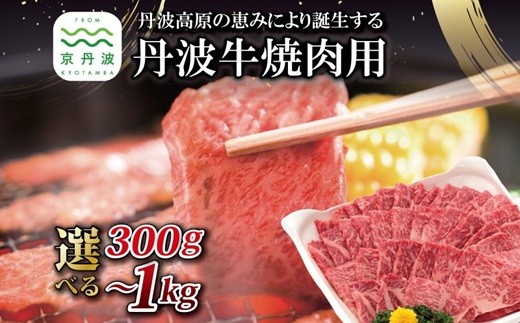 
            丹波牛 焼肉用 選べる 数量 300g 500g 1kg 【 黒毛和牛 国産牛 焼肉 丹波牛 赤身 霜降り 焼肉のタレ付き たれ 京都 丹波 いづつ屋 】 [015IZ003X]
          
