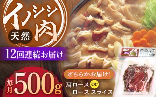 【12回定期便】ジビエ 天然イノシシ肉 肩ロース or ロース スライス500g【照本食肉加工所】[OAJ044] / 猪 猪肉 いのしし肉 イノシシ イノシシ肉 ジビエ いのしし 長崎県猪 川棚町産猪 ぼたん鍋用いのしし 九州産イノシシ じびえ ジビエ ジビエ肉