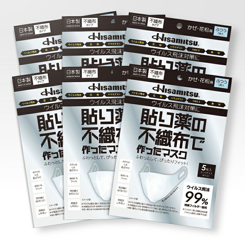 【ふるさと納税】貼り薬の不織布で作ったマスク（耳掛けタイプ）ふつうサイズ 6個セット / マスク