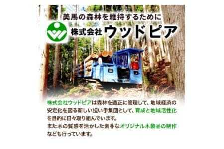 木の名刺ケース(ケヤキ) 株式会社ウッドピア 《90日以内出荷予定(土日祝除く)》 st-p