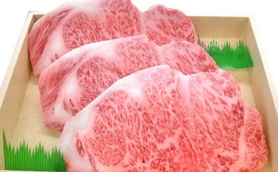 とちぎ和牛 サーロインステーキ 900ｇ 牛肉 お肉 グランプリ 霜降り [№5840-1381]