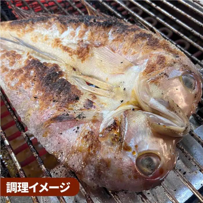 甘鯛一夜干し2尾(1尾あたり約400g) おつまみ おつまみ おつまみ /やきとり紋次郎 [FCJ075]