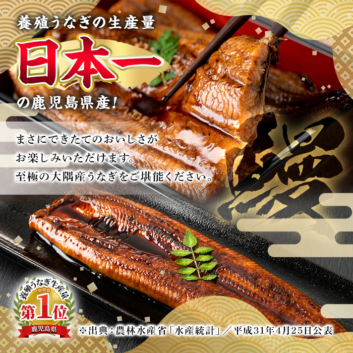 【0124314a-2508】＜8月上旬発送予定＞東串良町のうなぎ蒲焼(無頭)(2尾・計約300g・タレ、山椒付) うなぎ 高級 ウナギ 鰻 国産 蒲焼 蒲焼き たれ 鹿児島 ふるさと 人気【アクアおおすみ】