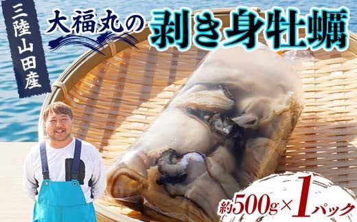 大福丸の剥き身牡蠣 約500g×1パック【三陸山田産】【沖縄・離島配送不可】三陸山田 山田町 山田湾 海産品 かき YD-723