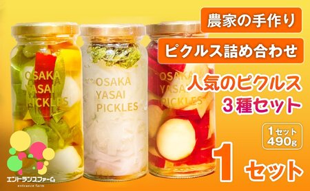＜農家の手作り ピクルス詰め合わせ！＞人気のピクルス3種セット(1セット・計3本)  タマネギと青じそ梅かつお さつまいもと柚子のサワーバニラ 酢漬け 漬物 おかず ヘルシー カラフル おつまみ ギフト 贈答用 【m104-08-A】【エントランスファーム】