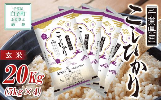 
令和5年産 千葉県産コシヒカリ（玄米）20kg(5kg×4袋) お米 玄米 千葉県産 白子町 コシヒカリ 米 こめ 送料無料 SHB028
