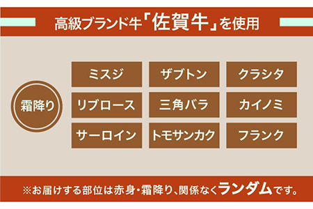 ＜12回定期便＞1ヶ月に1度の佐賀牛ひとり贅沢コース ステーキ/焼肉/スライス【ミートフーズ華松】 ブランド 高級 和牛 霜降り BBQ やわらか 冷凍 料理 しゃぶしゃぶ 鍋 精肉 牛肉 希少 赤身