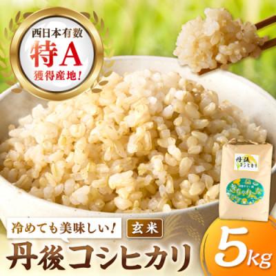 ふるさと納税 京丹後市 【令和7年産/直売所直送】検査1等米 丹後コシヒカリ 玄米5kg 直売所からおいしいお米をお届け