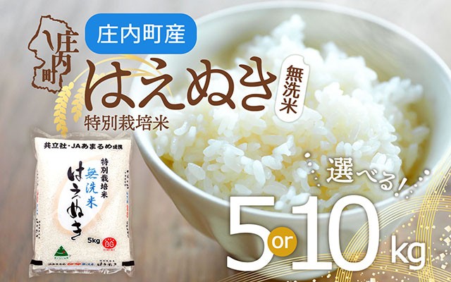 
                  特別栽培米 はえぬき 無洗米 選べる内容量！5kg or 10kg 令和7年産 2025年産 庄内町産 余目産 余目町農協 あまるめ ブランド米 米 国産 単一原料米 山形 庄内平野 コシヒカリの原点、亀の尾発祥の地 庄内
                