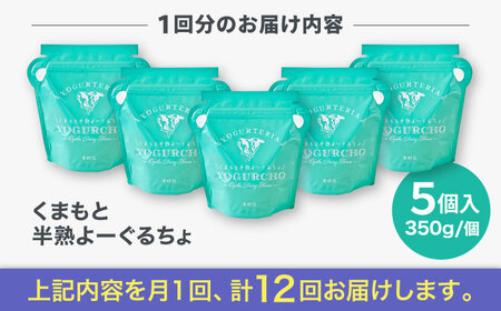 【全12回定期便】オオヤブデイリーファーム くまもと半熟よーぐるちょ 350g×5個ヨーグルト[AYAE024]