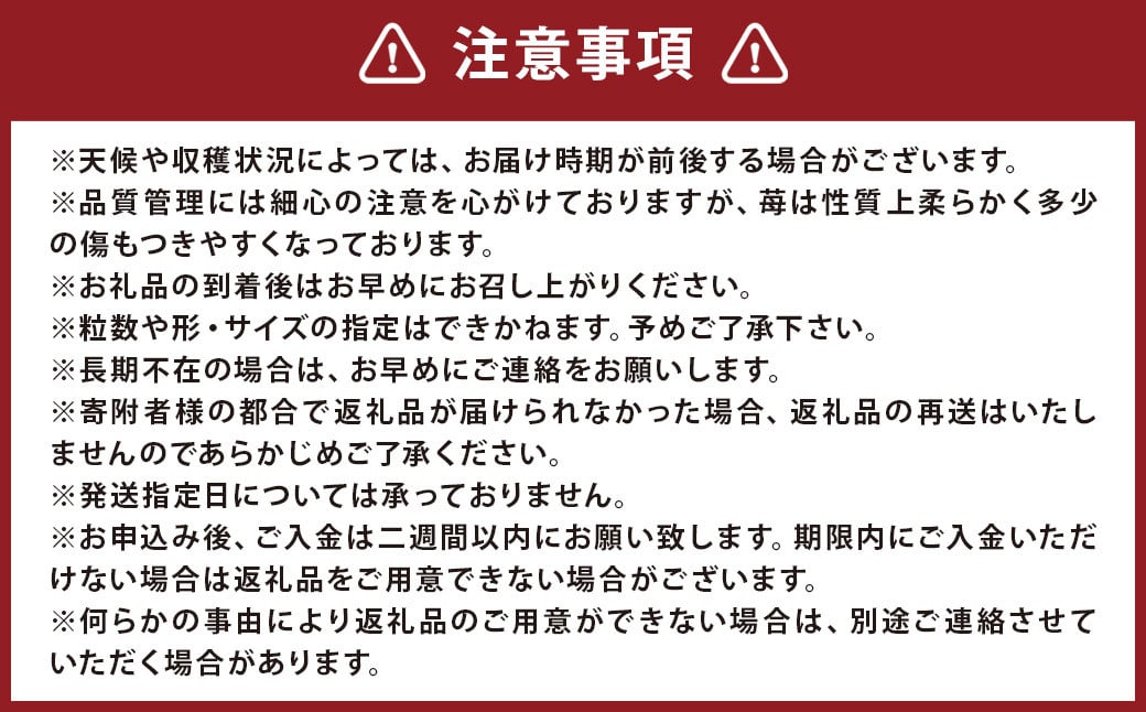 【3回定期便】 特別栽培の 濃厚 完熟 あまおう 約1kg 約250g×4パック