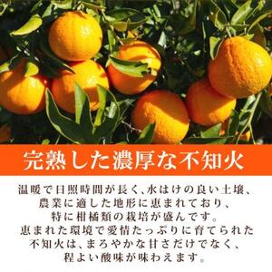 【ご家庭用】紀州有田産不知火(しらぬひ) 3kg【配送不可地域：離島】【1560336】