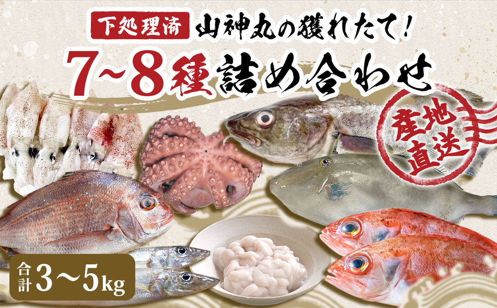 
山神丸の獲れたて直送! 石巻の鮮魚（7～8種） 詰め合わせ3～5㎏（大）
