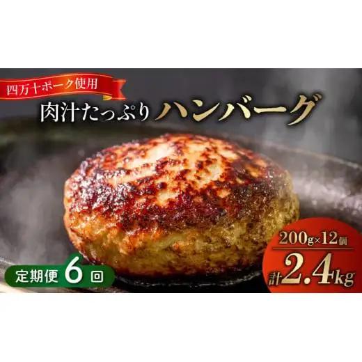 【 ハンバーグ 】 ハンバーグ6ヶ月定期便