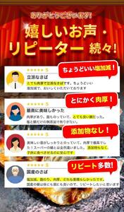 塩さばフィレ８枚入(真空パック入) / さば　塩鯖　塩サバ 国産【uot404B】