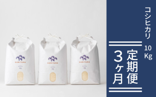 定期便 3か月 コシヒカリ 令和7年 10kg 米 コメ こめ 萩産 KAMITAMA　｜HG0T0585