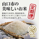 A065【ふるさと納税】山口の美味しいお米定期便　5kg×12回（白米）