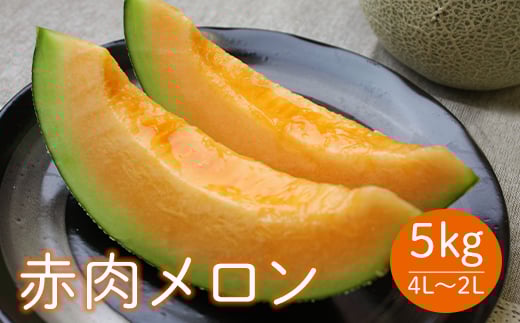 《先行予約 2025年度発送》山形県産庄内メロン約5kg【赤肉メロン】4L～2Lサイズ  赤肉メロン メロン 赤肉 デザート フルーツ 果物 くだもの 果実 食品 山形県 FSY-0399