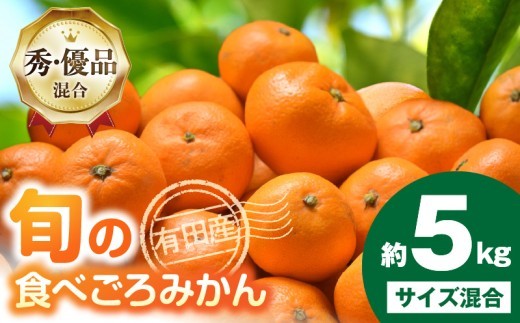 
                   【2026年先行予約】 有田みかん サイズ混合 内容量 約 5kg 和歌山県産 国産 みかん 食べごろ 旬 混合規格 秀品 優品 混合 柑橘 果物 果実 フルーツ おやつ デザート 食品 常温 お取り寄せ 和歌山県 湯浅町 送料無料_ZD92075
                