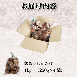 訳あり きのこ しいたけ 1kg （ 250g × 4袋 ） 先行予約 キノコ 椎茸 生しいたけ 生 シイタケ だし ダシ 焼きしいたけ 肉詰め 鍋 味噌汁 スープ 野菜 新鮮 旬 食べ応え 厚い 肉