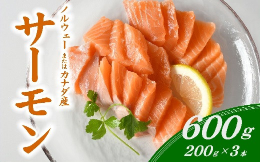 
【1.5-9】サーモン短冊　約600g　刺身　刺し身　200g　3個　小分け　便利　
