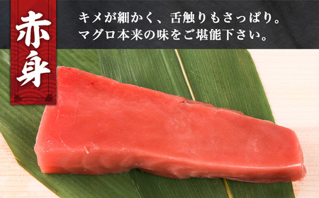 （冷凍） 本まぐろ 赤身 中トロ×2 詰合せ２～３人前【No.516】伊勢志摩まぐろ食堂 ／ 本鮪 専門店 お刺身専用 粗びき塩 三重県 南伊勢町