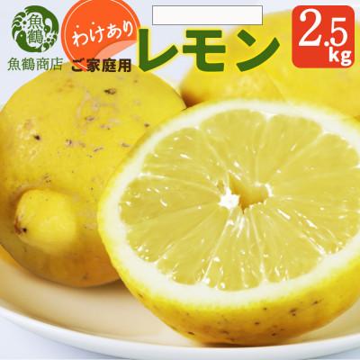 ふるさと納税 湯浅町 【先行予約】【2027年3月上旬より発送】【ご家庭用訳あり】紀州湯浅産レモン　2.5kg