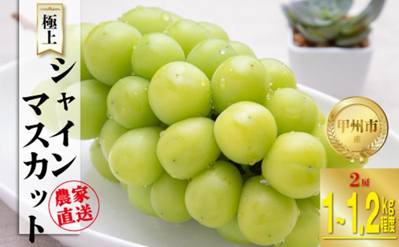 
            農家直送『シャインのふるさと甲州』極上シャインマスカット 2房（約1～1.2kg）【2025年発送】（SFK）B15-855 【シャインマスカット 葡萄 ぶどう ブドウ 令和7年発送 期間限定 山梨県産 甲州市 フルーツ 果物】
          