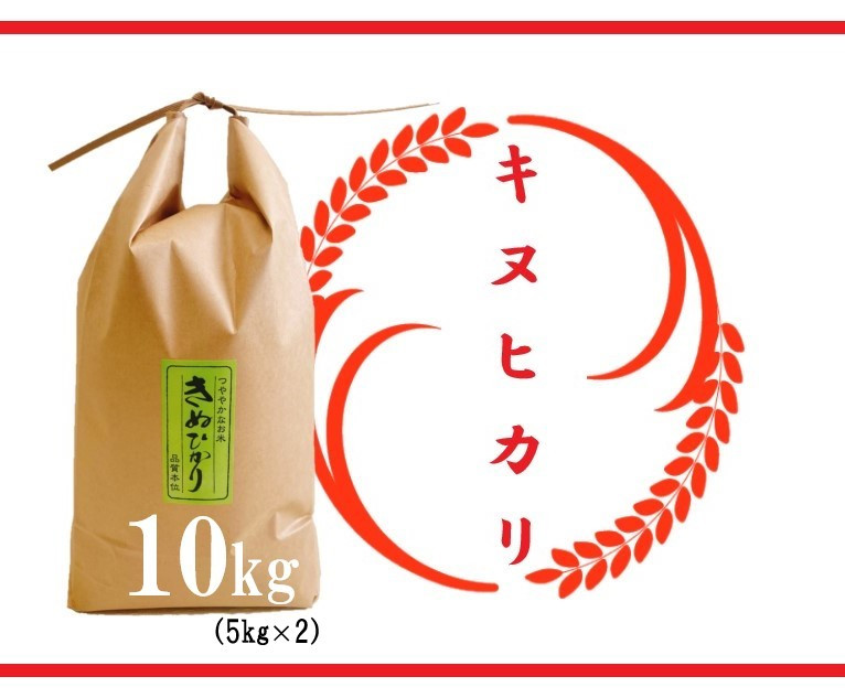 
                  【令和7年産 特別栽培 近江米  『キヌヒカリ』10kg(5kg×2)】米 近江米 キヌヒカリ ブランド米 滋賀県 竜王
                