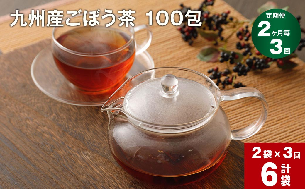 
【2ヶ月毎3回定期便】 ごぼう茶 100包 計6袋（2袋×3回） 九州産
