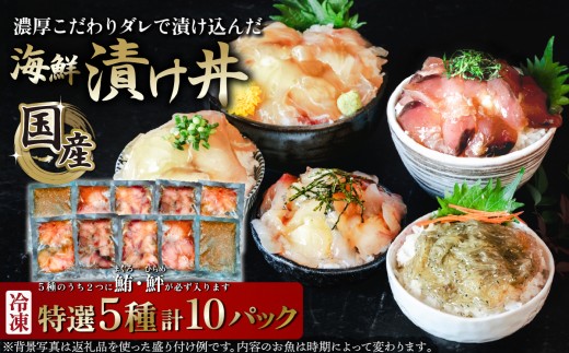 海鮮漬け丼5種セット 10パック
