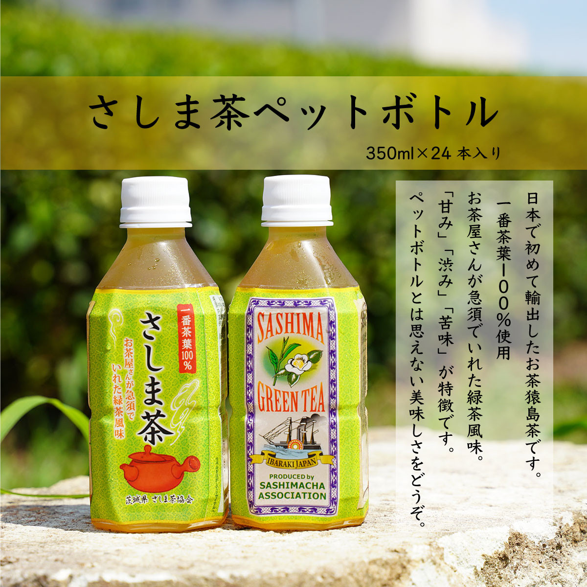 
猿島茶 ペットボトル １ケース （350ml×24本入り） お茶 緑茶 茨城県 [AF089ya]
